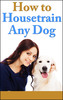 Thumbnail How To House train any Dog